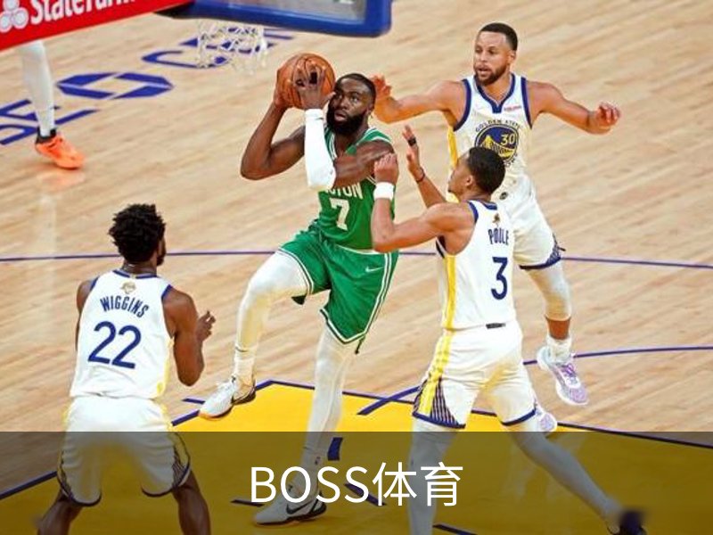BOSS体育概况